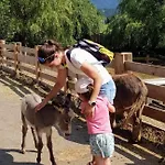 Daire Wild - Im Skigebiet Gerlitzen & Ossiacher Bodensdorf