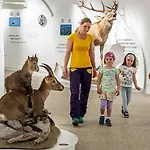 Daire Wild - Im Skigebiet Gerlitzen & Ossiacher