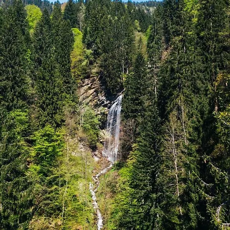 Wild - Im Skigebiet Gerlitzen & Ossiacher * Bodensdorf