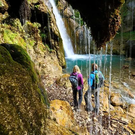 Wild - Im Skigebiet Gerlitzen & Ossiacher *