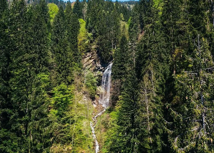Wild - Im Skigebiet Gerlitzen & Ossiacher * Bodensdorf
