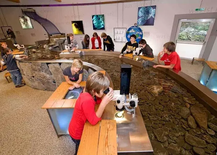 Wild - Im Skigebiet Gerlitzen & Ossiacher Bodensdorf