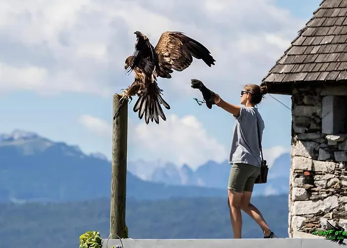 Apartament Wild - Im Skigebiet Gerlitzen & Ossiacher