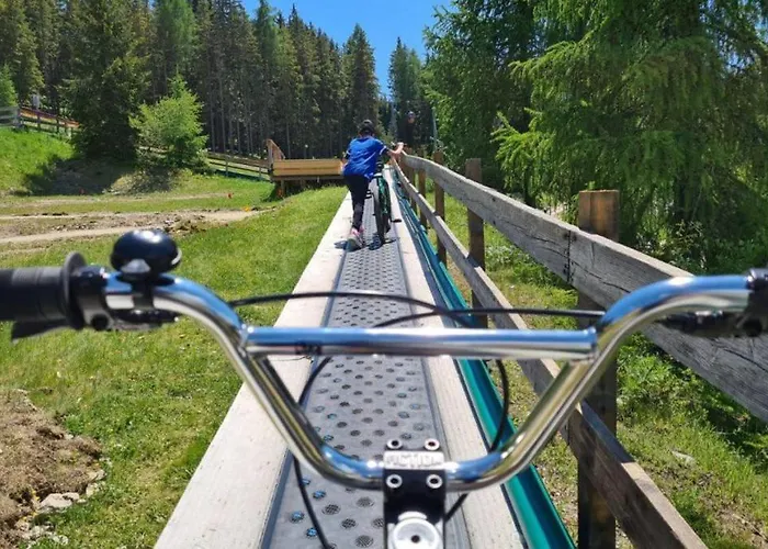 Wild - Im Skigebiet Gerlitzen & Ossiacher Daire Bodensdorf