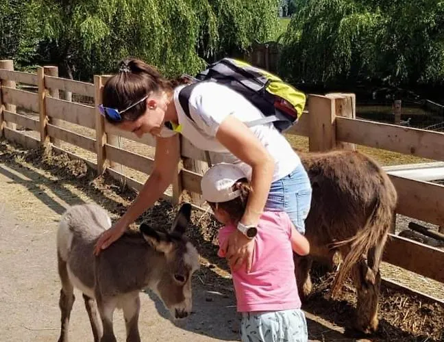 Apartament Wild - Im Skigebiet Gerlitzen & Ossiacher Bodensdorf