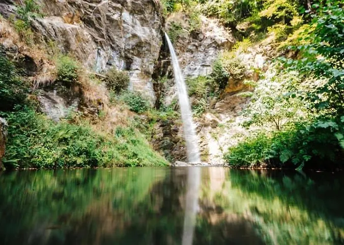 Wild - Im Skigebiet Gerlitzen & Ossiacher
