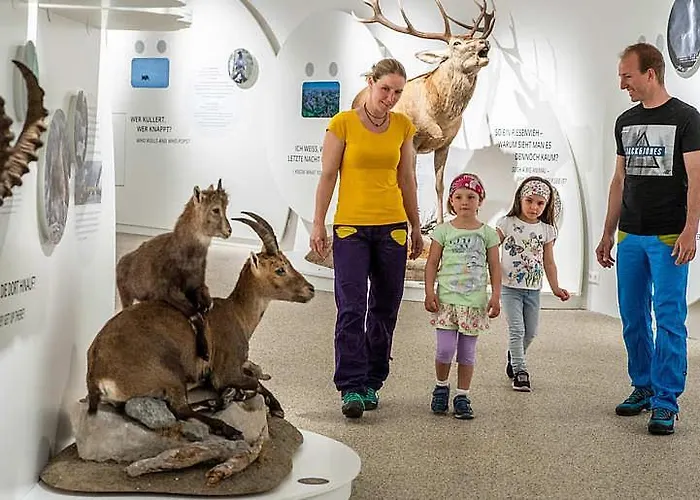 Apartament Wild - Im Skigebiet Gerlitzen & Ossiacher